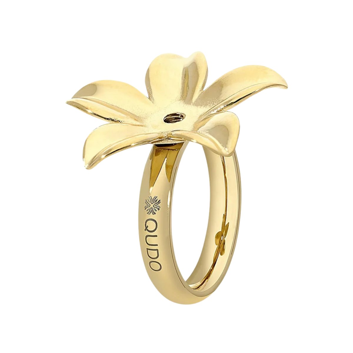 Basic Ring Pescia