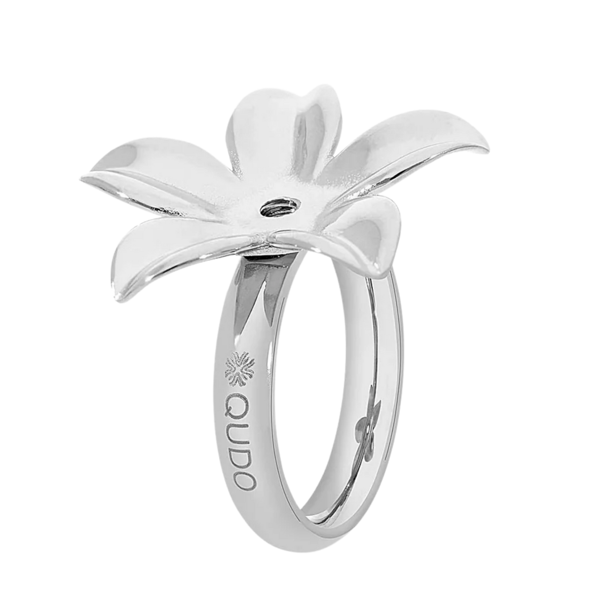 Basic Ring Pescia