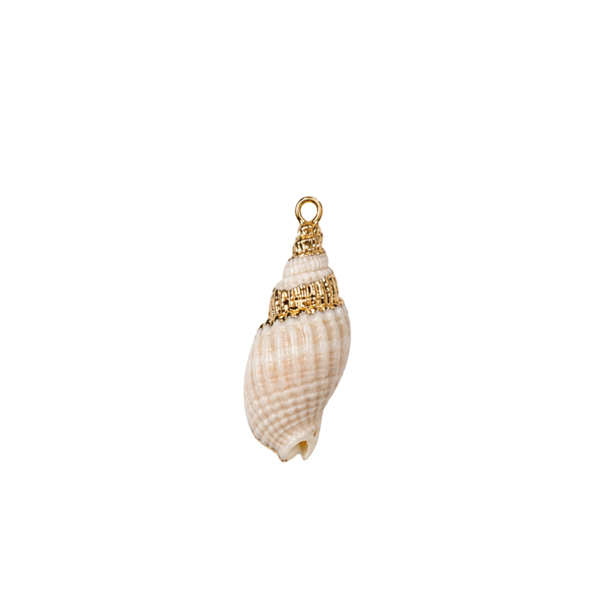 Shell Charms