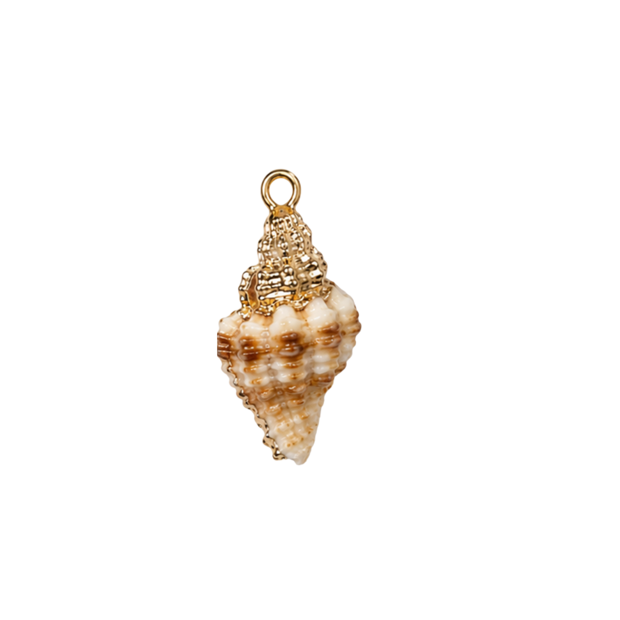 Shell Charms