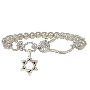 Silver / preorder