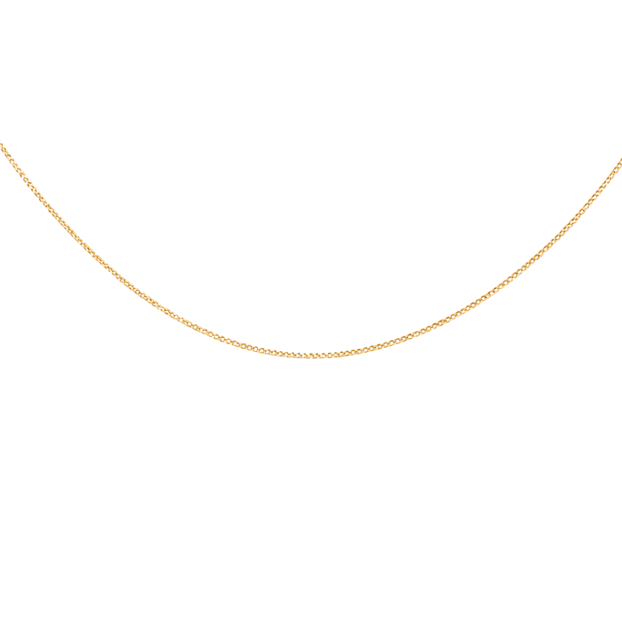 Box Chain Adjustable Necklace