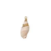 Small Conch Metallic