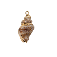 Large Conch Swirl