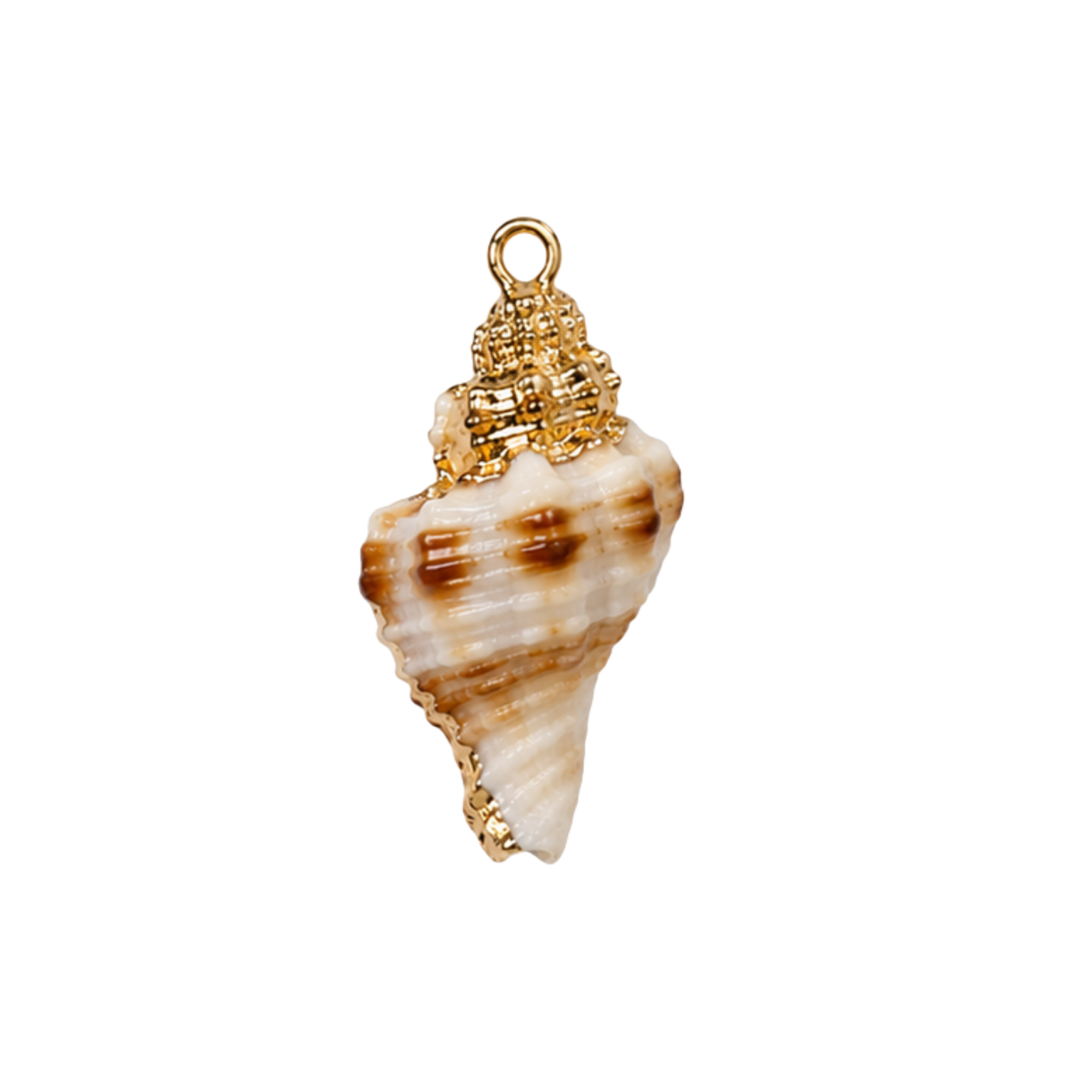 Shell Charms