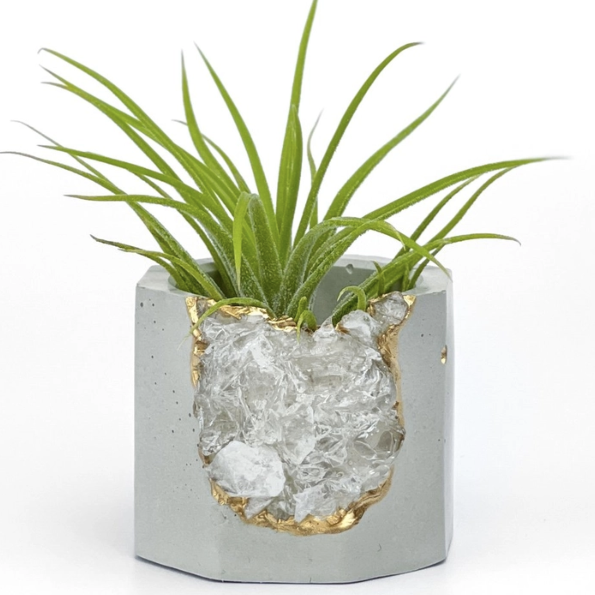 Crystal Geode Planter Pot with Plant Included!