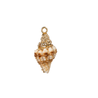 Small Conch Swirl