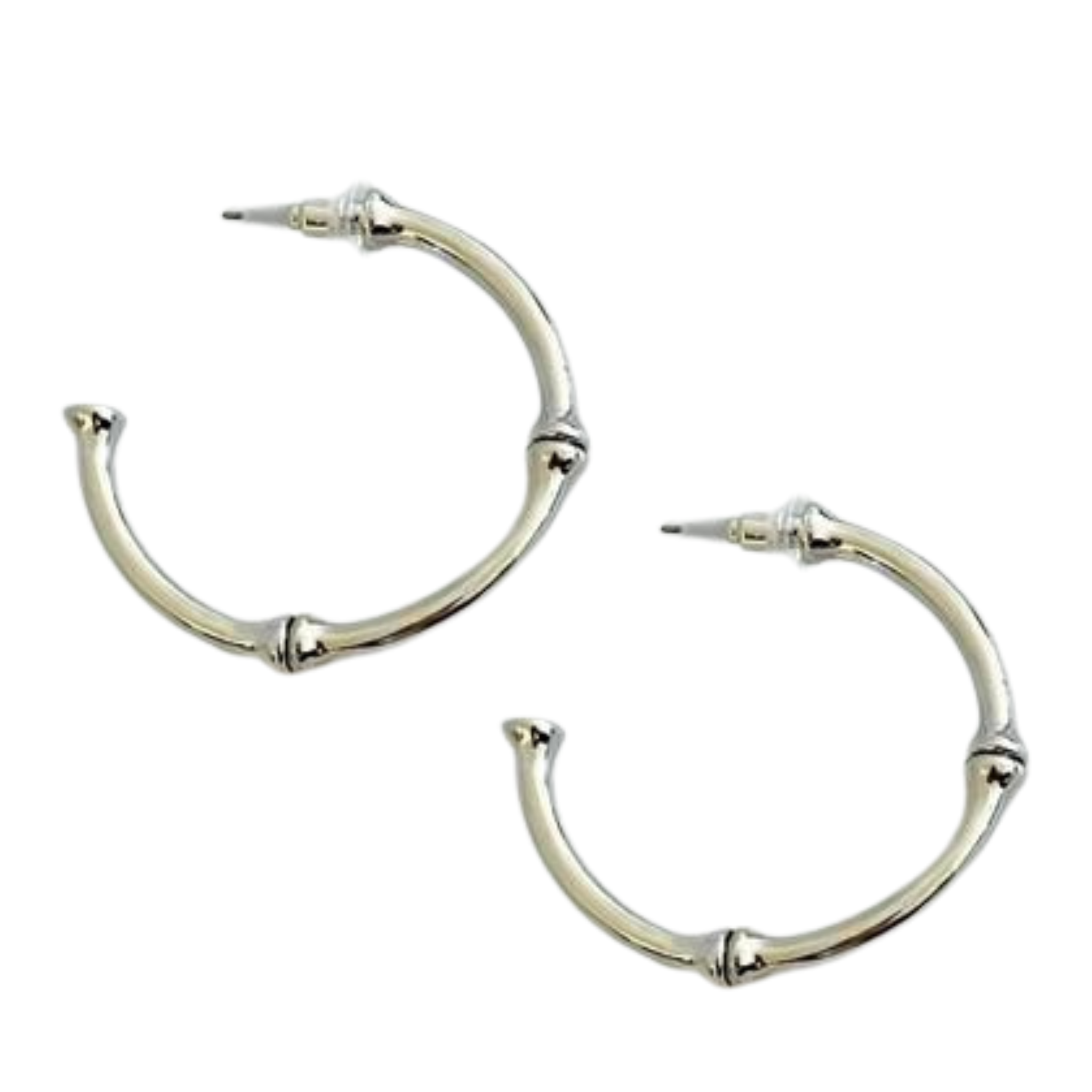 Golden Elegance Hoop Earrings