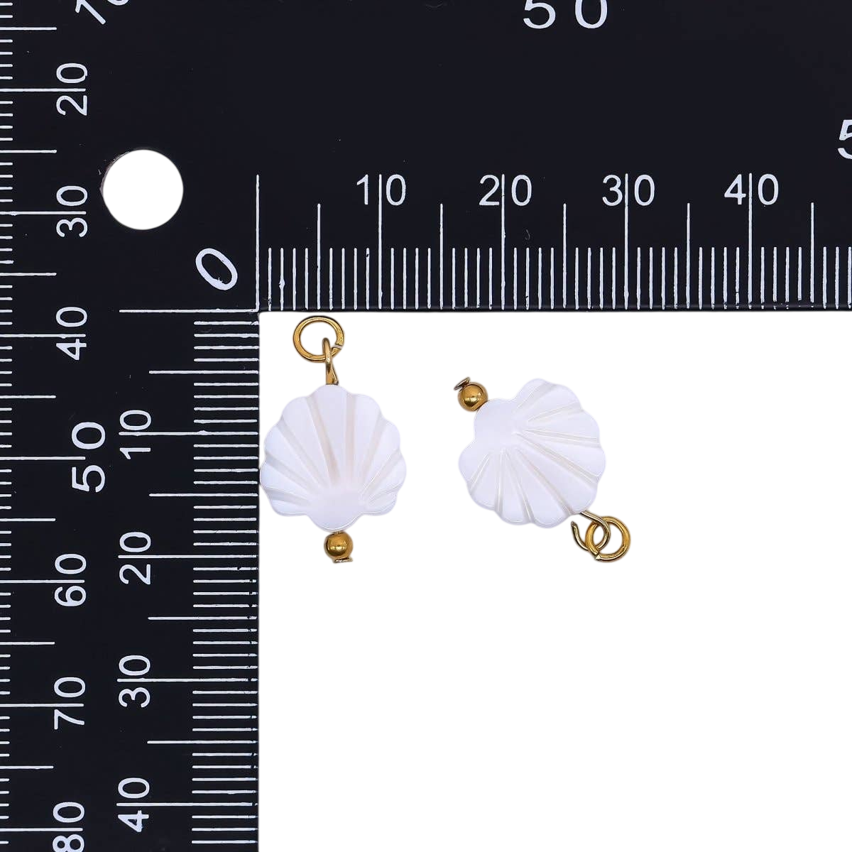 Scallop Seashell Charm
