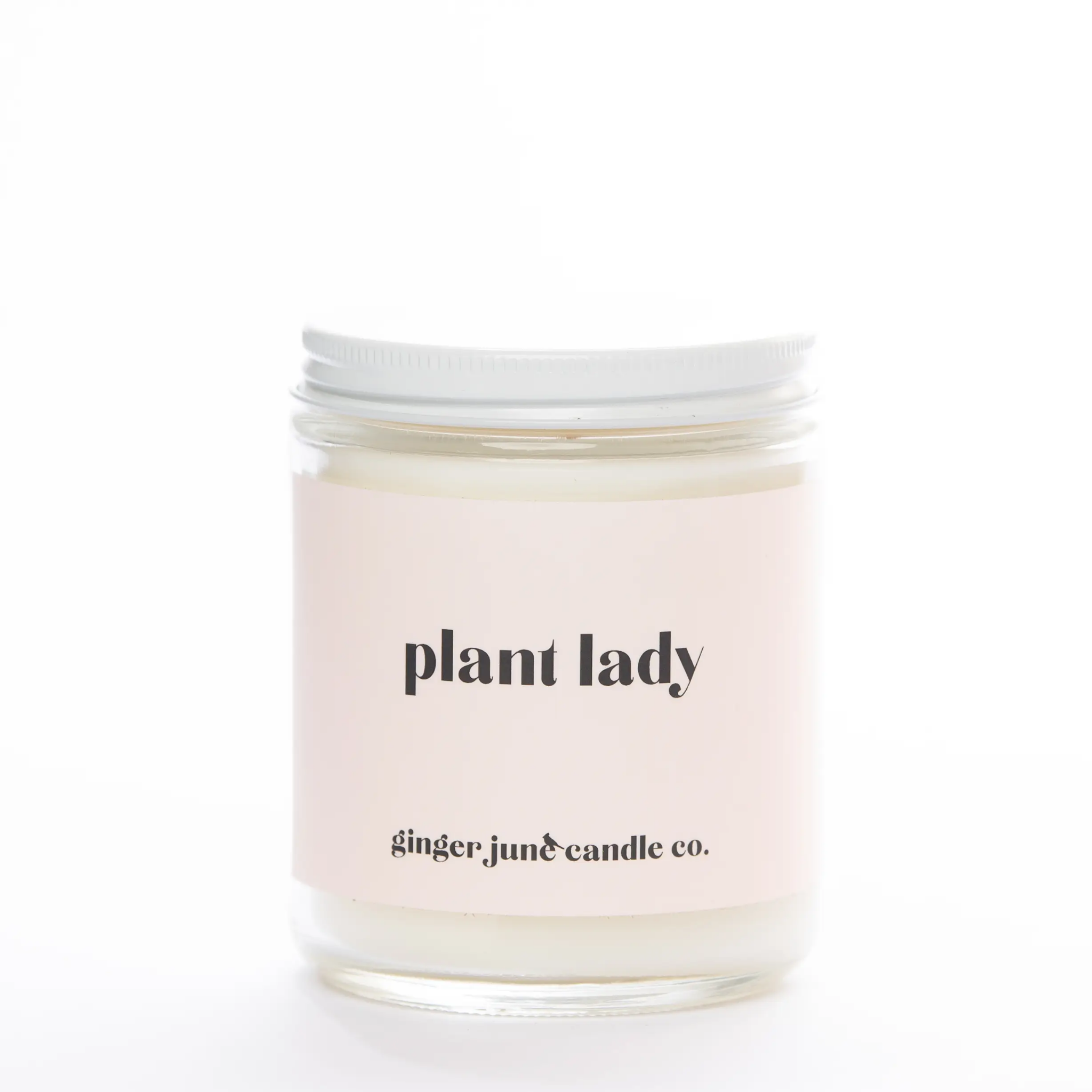Plant Lady •  Non Toxic Soy Candle - Let's Bag It 